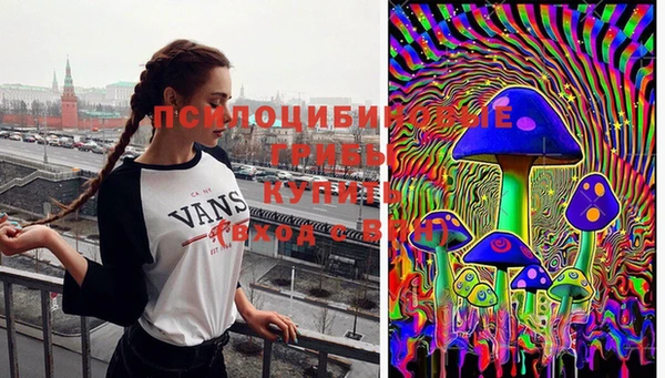 mdpv Гусь-Хрустальный