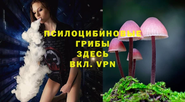 mdpv Гусь-Хрустальный